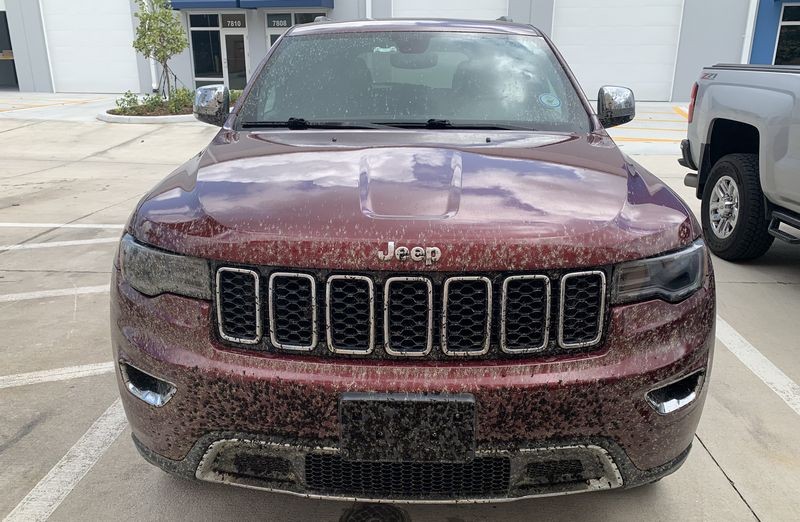 How to remove Love Bugs off car
