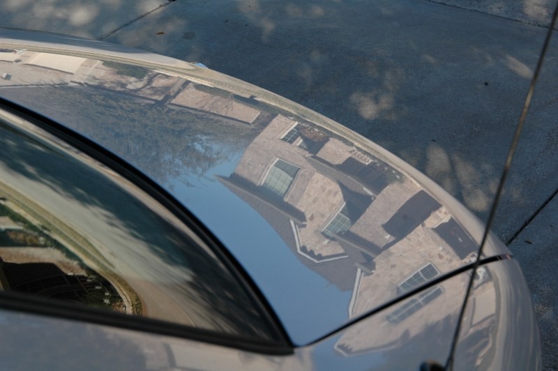 HtCG Trunk