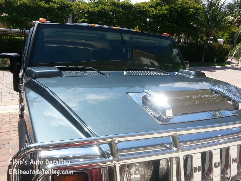 Hummer_31_