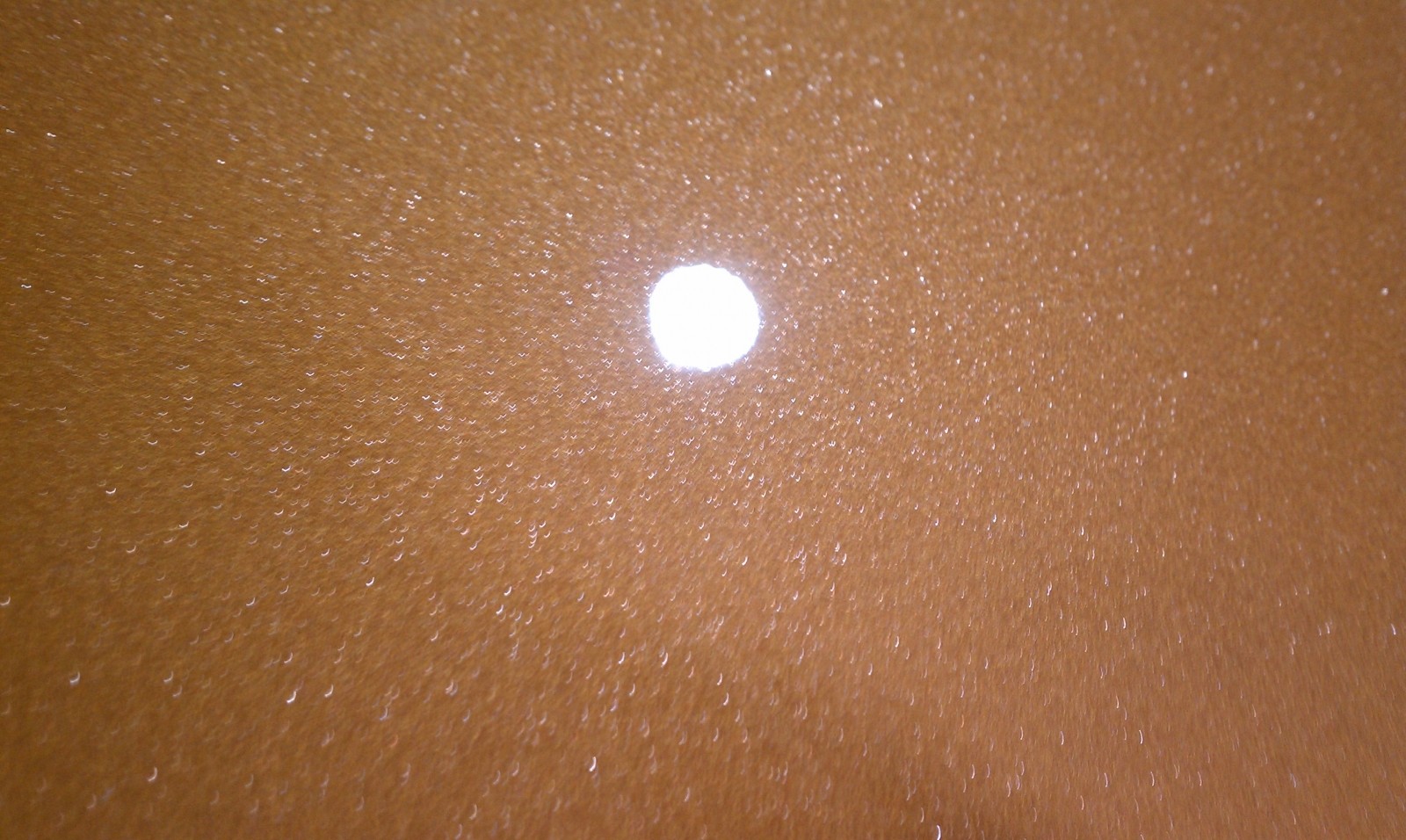 IMAG0120
