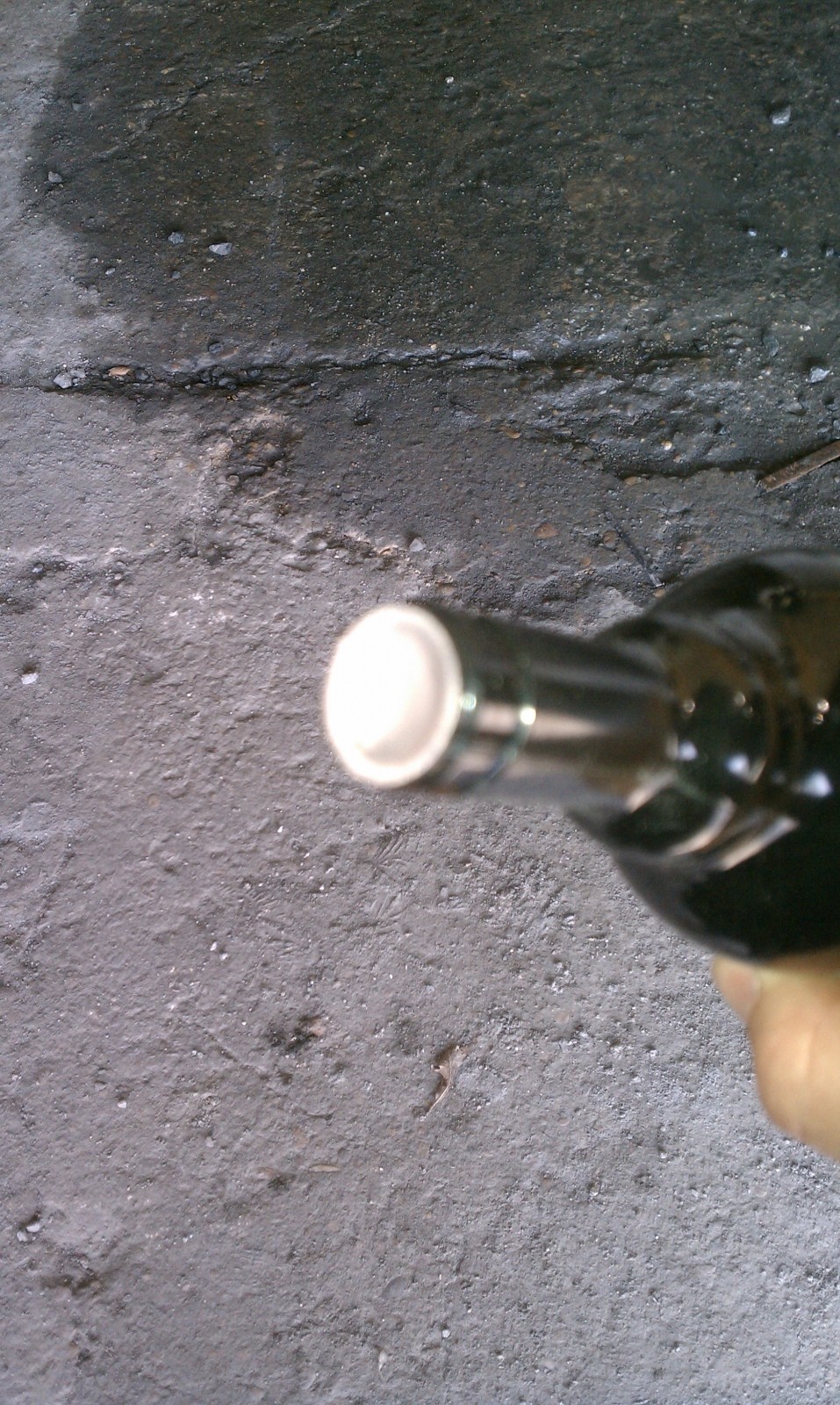 IMAG0186