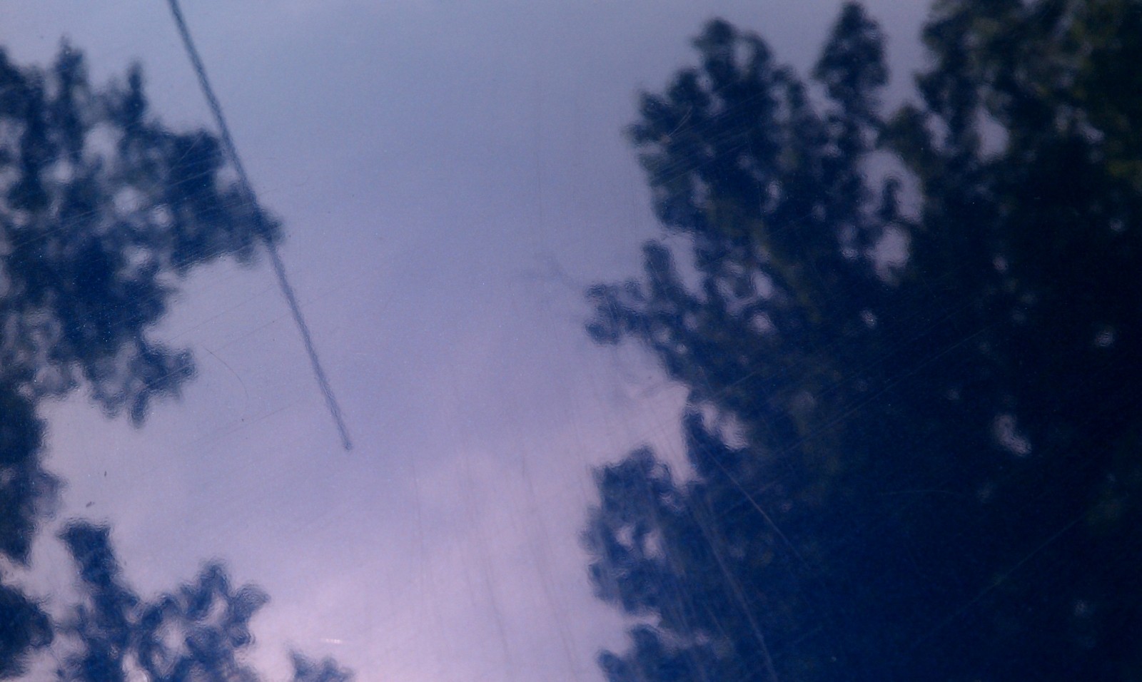 IMAG0191