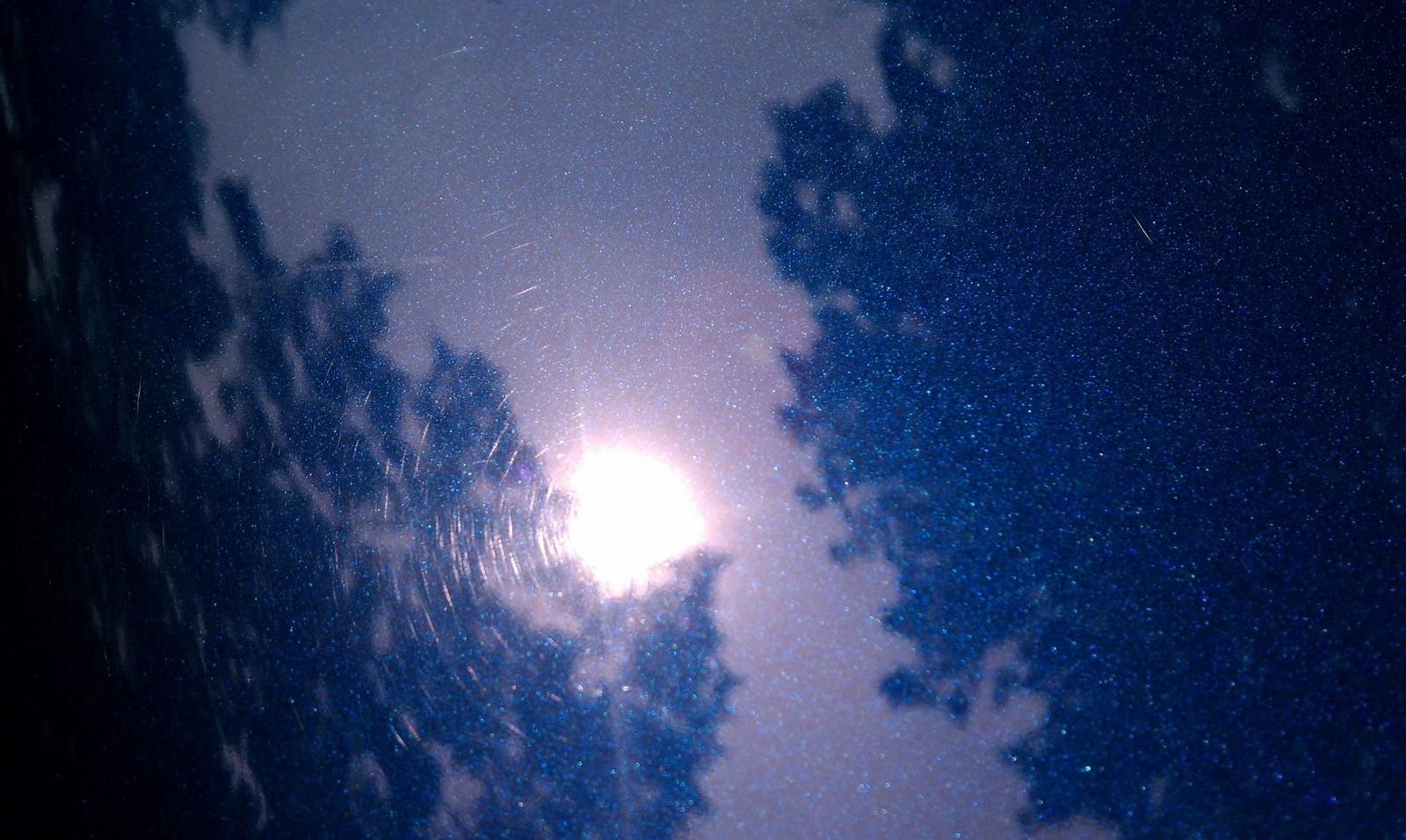 IMAG0194