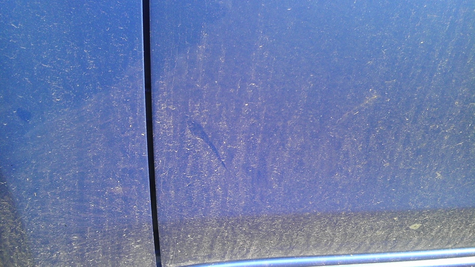 IMAG02631