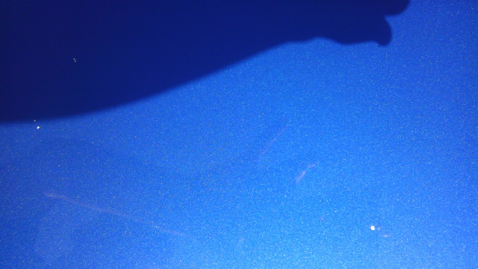 IMAG0272