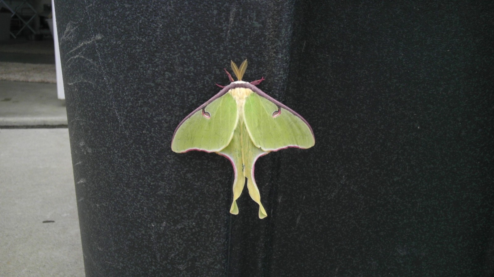 IMAG0275