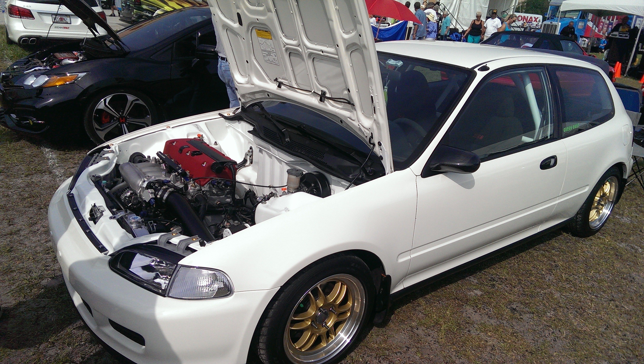 IMAG2520