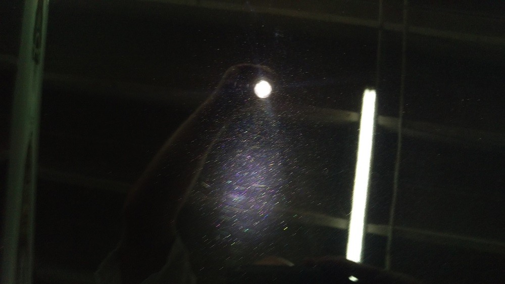 IMAG3161