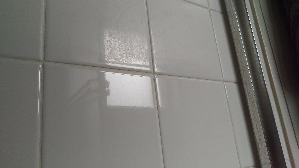 IMAG5218