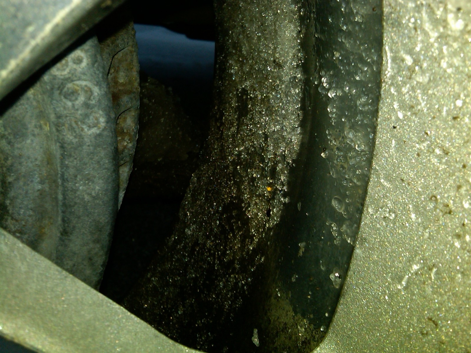 IMG-20110222-00038