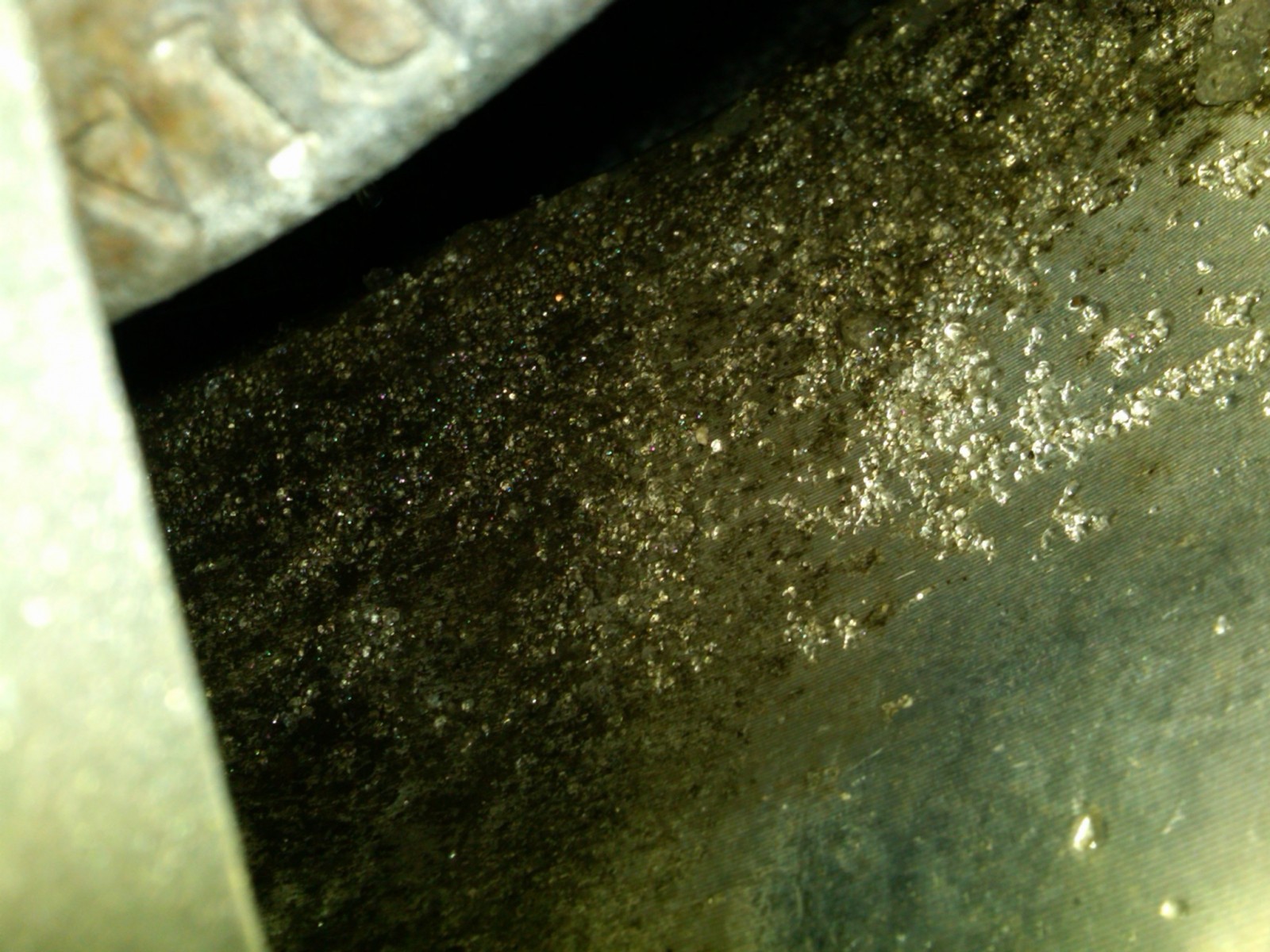 IMG-20110222-00039