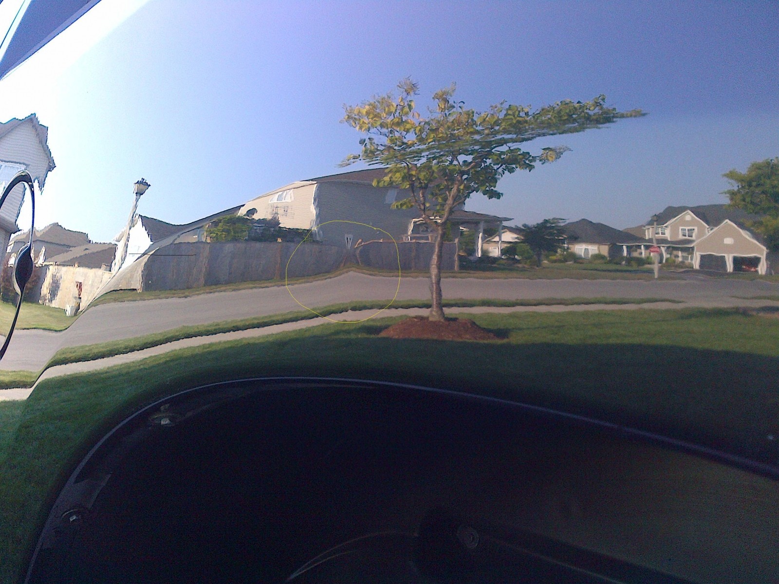 IMG-20120823-001961