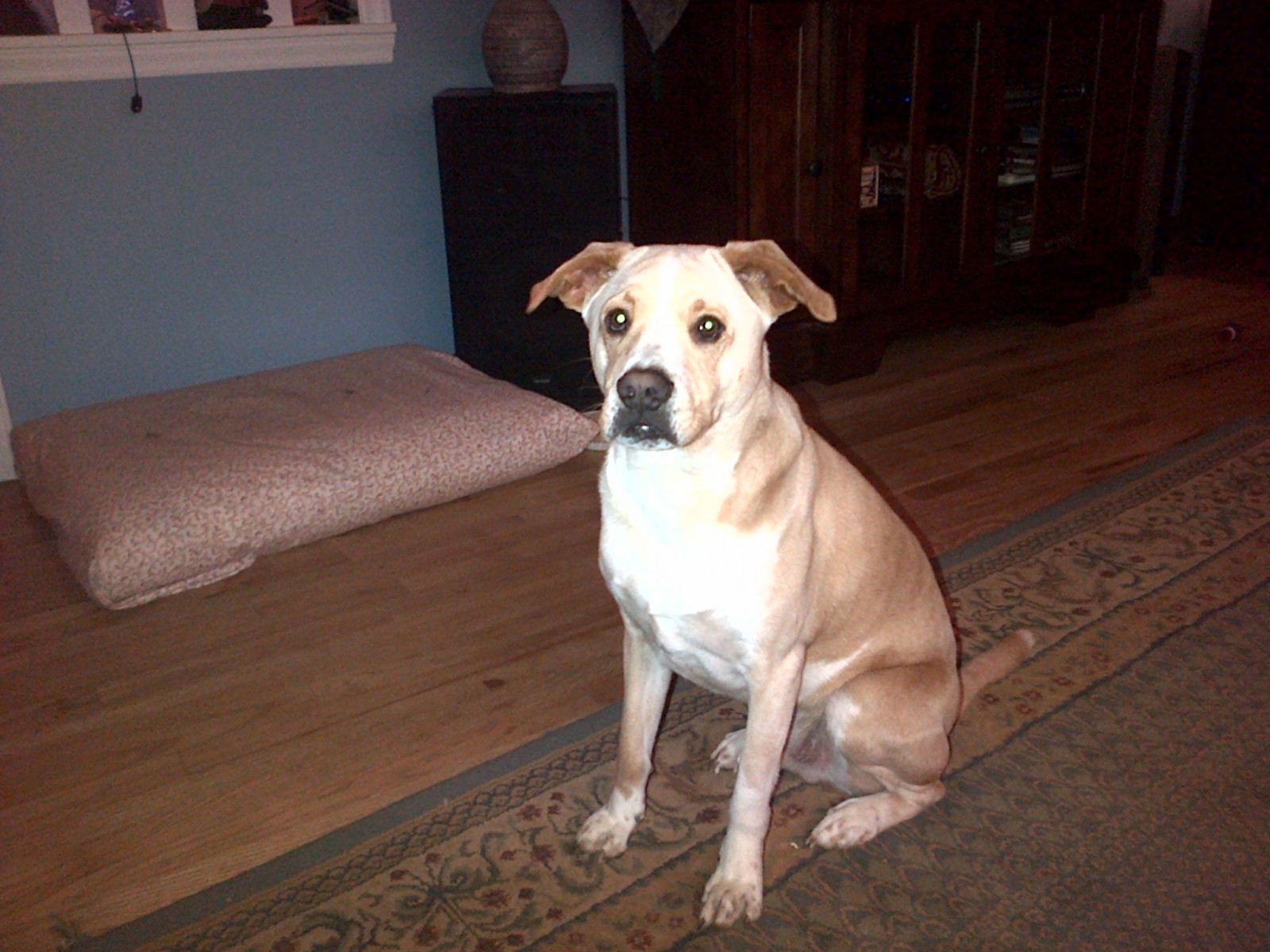 IMG-20130106-00044