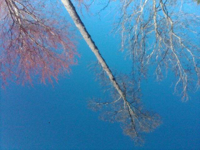 IMG00034-20110301-1634