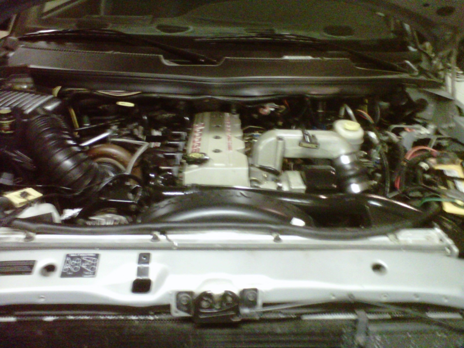 IMG00425-20130807-1249
