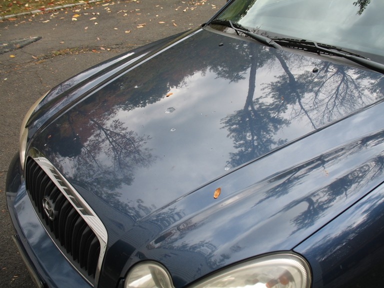 IMG_2040_resize