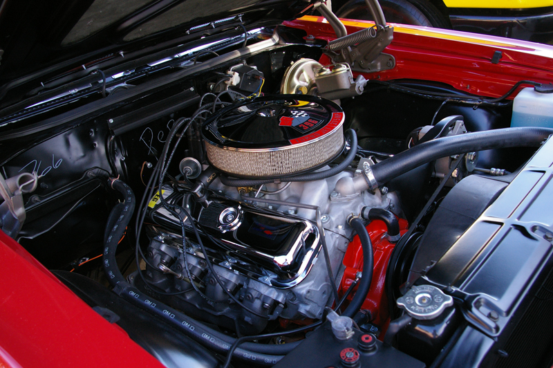 IMGP2560