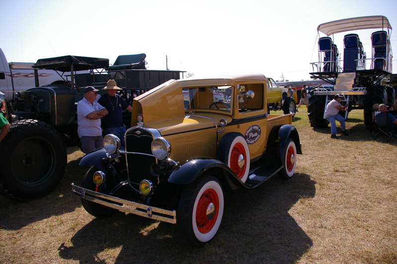 IMGP2789