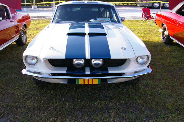IMGP42901