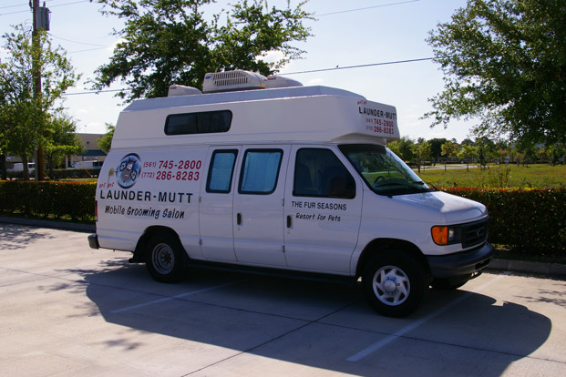IMGP43501