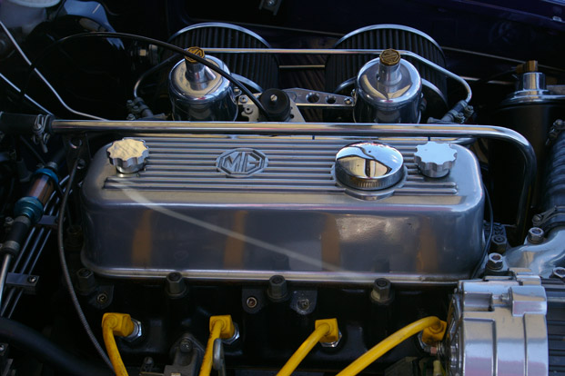 IMGP43721