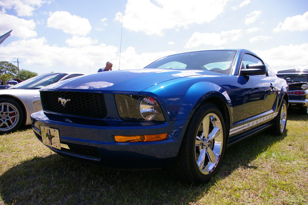 IMGP4408