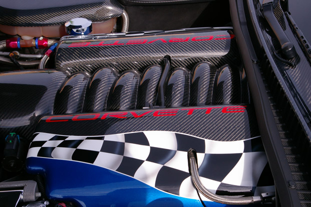 IMGP4504