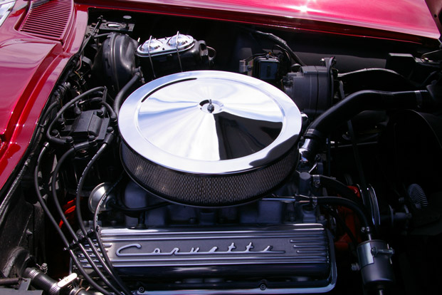 IMGP4600