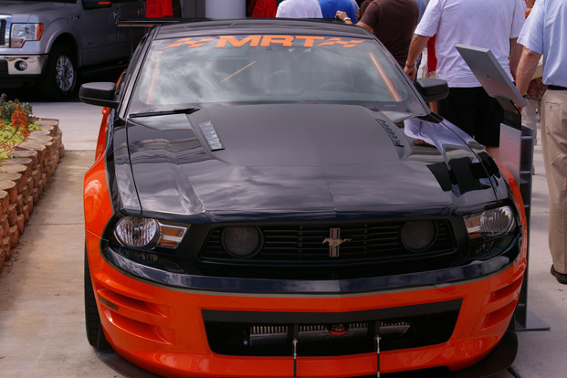 IMGP4646