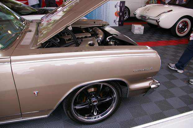 IMGP4768