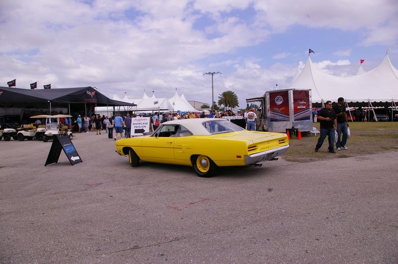 IMGP6780