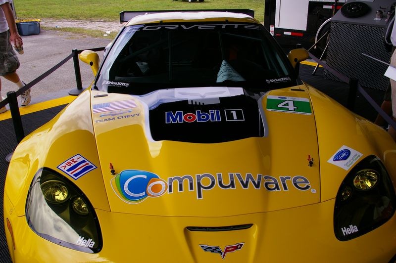 IMGP6801