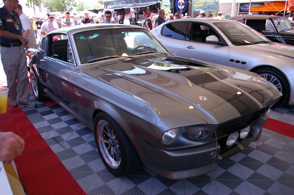 IMGP7921