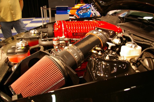 IMGP7987