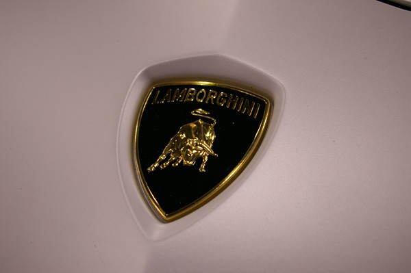 IMGP8006