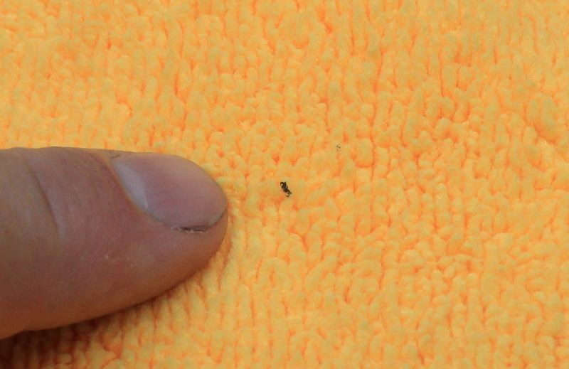 Inspect your microfiber towels when detailing cars