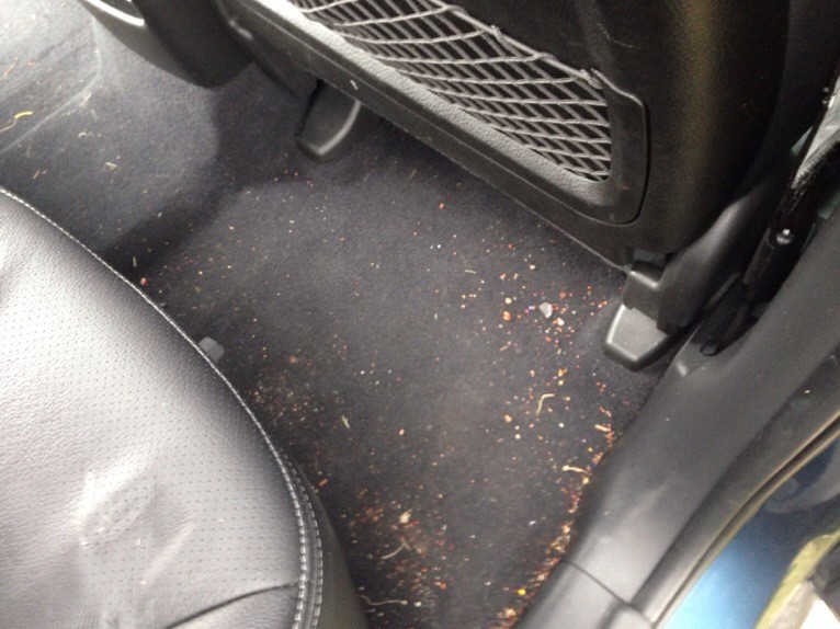 Kia Sorento Interior Detail