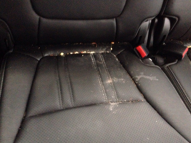 Kia Sorento Interior Detail