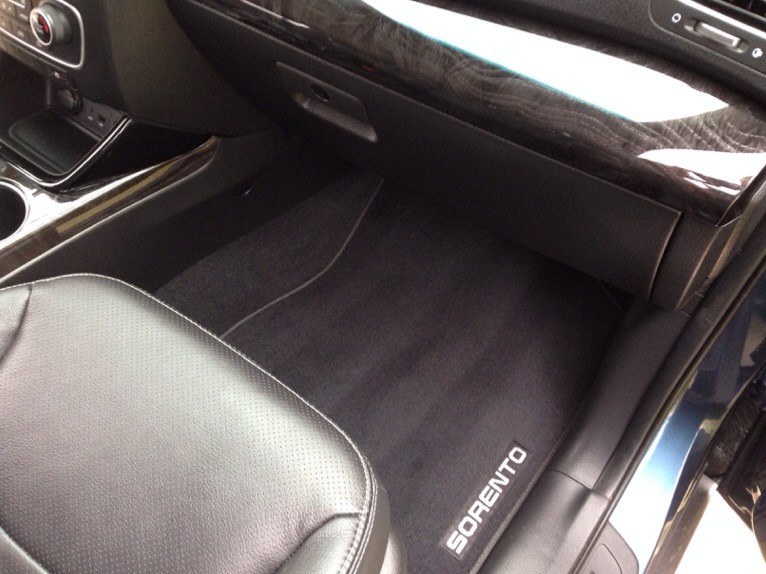 Kia Sorento Interior Detail