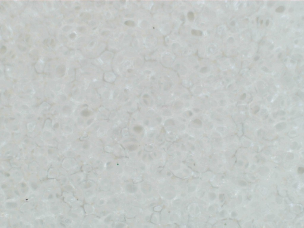 LC_CCS_White