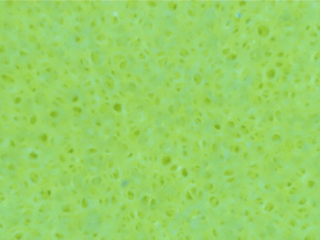 LC_CCS_Yellow