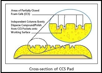 LCccspadxsection
