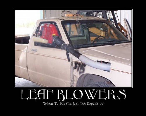 leafblower1