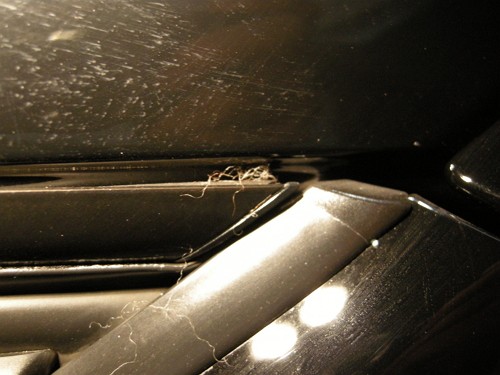 lint_from_drying_cloth