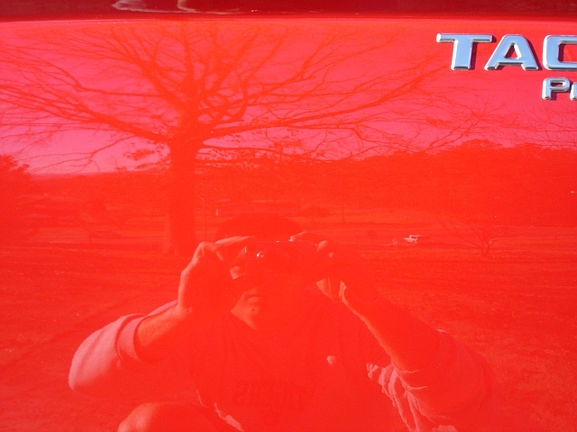 Liquid Souveran on Radiant Red