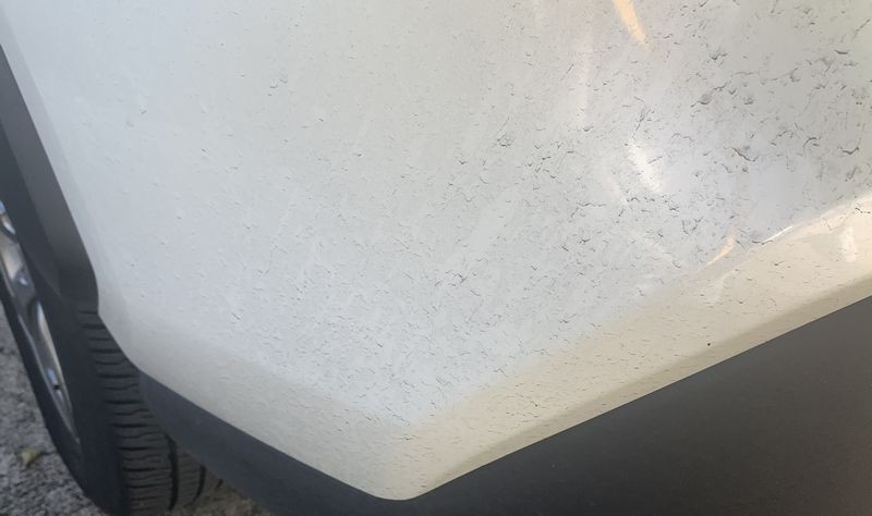LIVE Detailing Class 2019 Toyota RAV4 303 Graphene