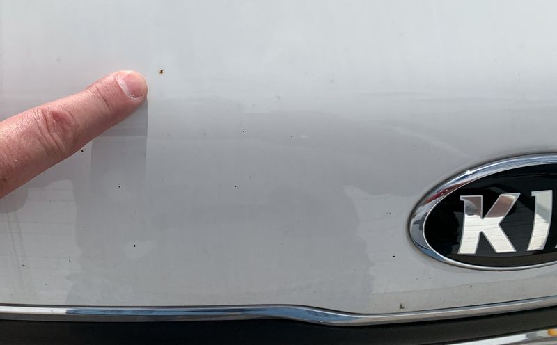 LIVE Dr Color Chip Detailing Class Autogeek Mike Phillips