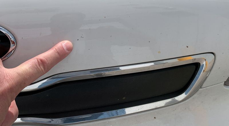 LIVE Dr Color Chip Detailing Class Autogeek Mike Phillips