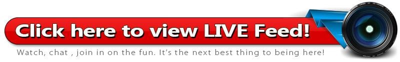 Live Feed Banner