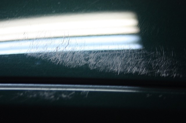 Looks like fiberglass after the gelcoat is worn